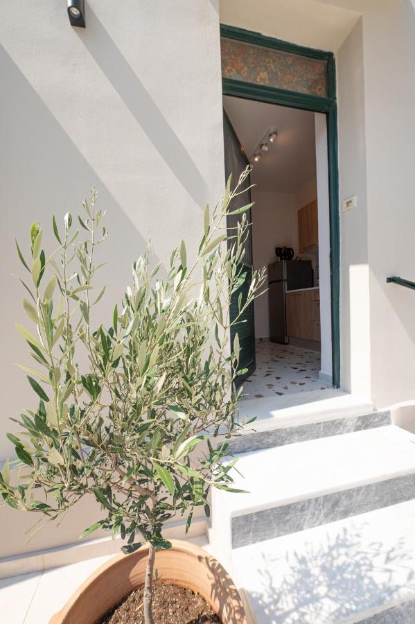 Sunny Yard * Poros Town